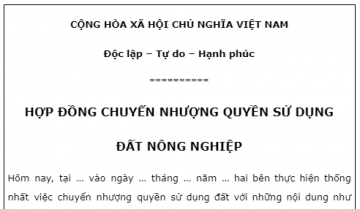 Mẫu giấy chuyển nhượng đất nông nghiệp viết tay CHUẨN NHẤT 2024