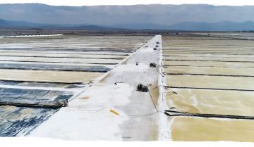 Chuyển nhượng đất làm muối: TOÀN BỘ quy định 2024