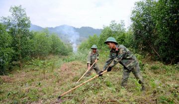 Chuyển nhượng đất quân đội quốc phòng có được không? [CẬP NHẬT 2024]