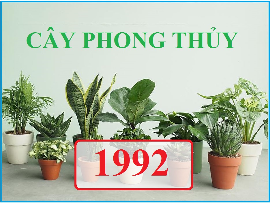 Người sinh năm 1992 Nhâm Thân hợp cây phong thuỷ nào  Tập đoàn Trần 